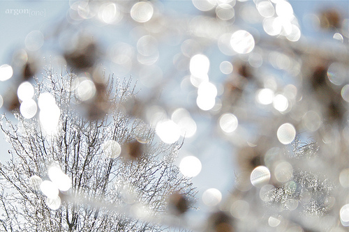 2011 Winter Holiday Guide!