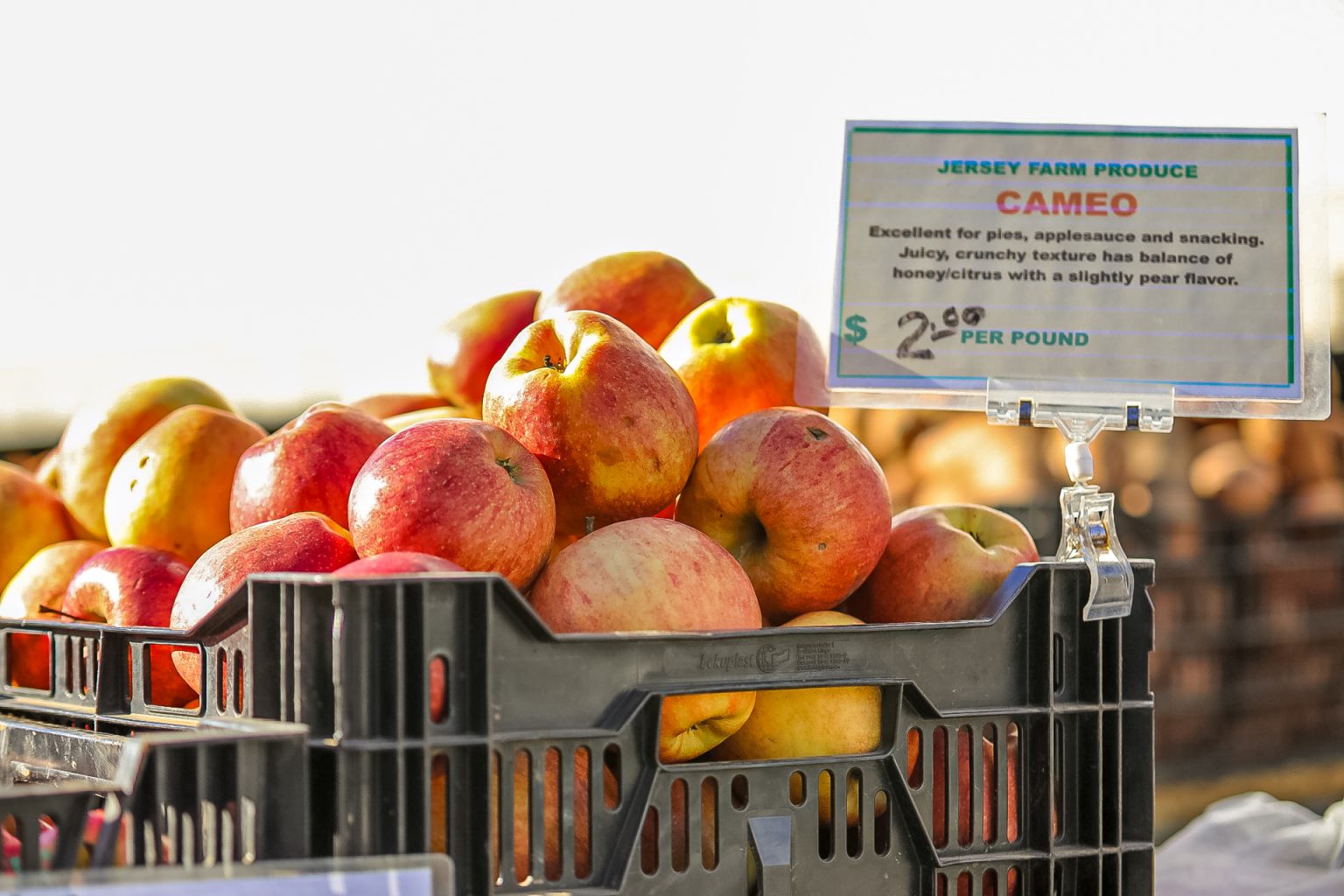 The St. Green Market Staten Island Lifestyle Staten Island