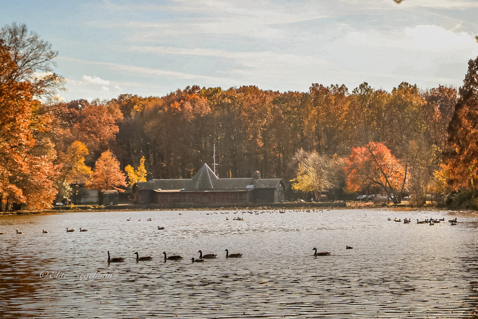 Top Spots to See Fall Foliage on Staten Island! Staten Island