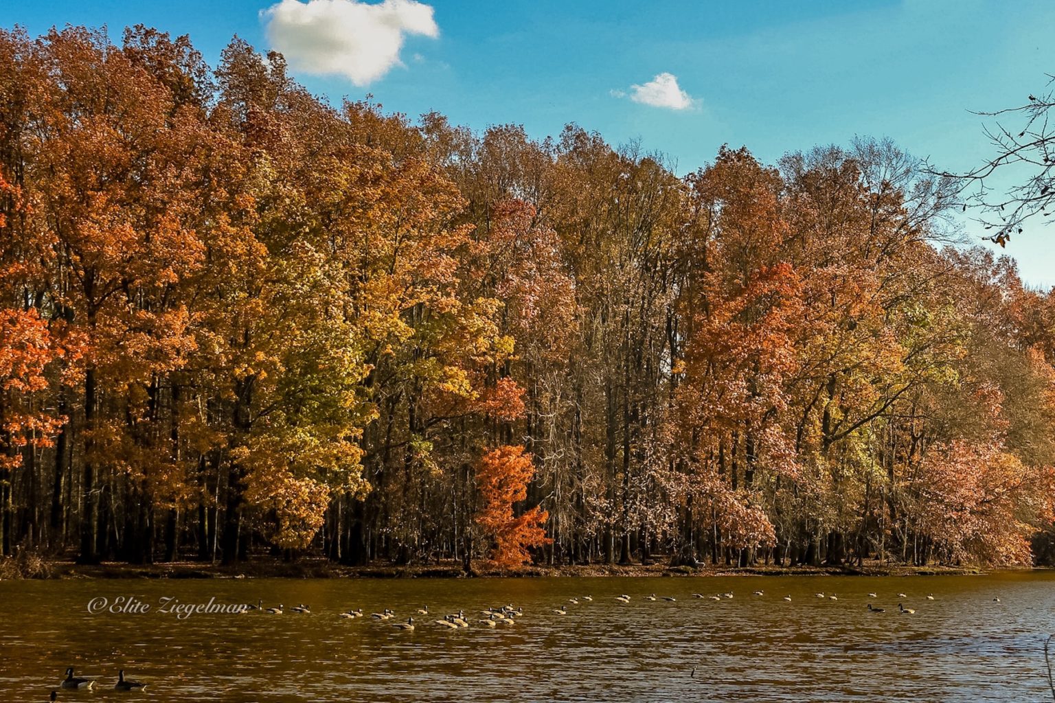 Top Spots to See Fall Foliage on Staten Island! Staten Island