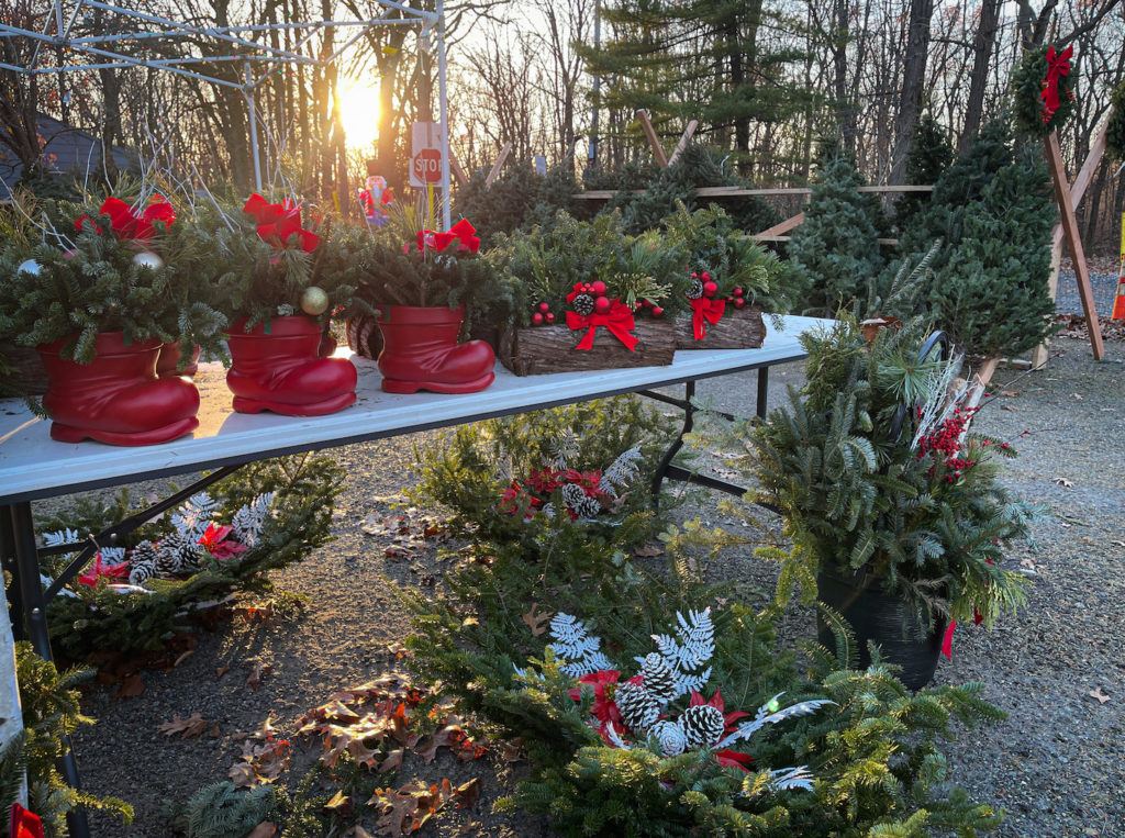 Need a Christmas Tree? Here are 5 Spots on Staten Island to Shop for